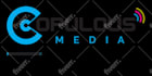 create custom logo animation and intro outro