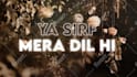 create stunning animated lyric video for your song