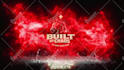 create premium custom 2d and 3d logo animation and video intro