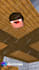 make minecraft animations and shorts for you
