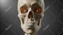 create ai powered medical 3d animation 3d anatomy visualization explainer video