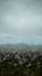 make photorealistic 3d nature environment in unreal