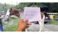do vfx video effects, visual effects, video editing