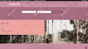 design, redesign or revamp wordpress website with elementor pro