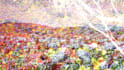 create 3d environment cinematics and character animation
