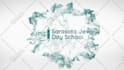 do awesome 50 logo animation intros in 4k