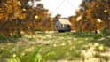 create your desired 3d environment