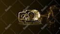do gold fire logo reveal animation
