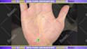 give a palm reading on video in 24h