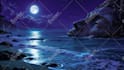 make 4k meditation and any kind of video