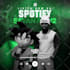 make dope spotify reel storie for artist