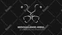 do animated custom logo animation or intro video