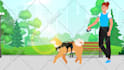 create 2d animated explainer video for business and sales