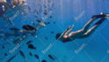 make your underwater photo unforgettable