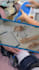 create commercial promotional or explainer marketing video ads