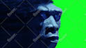 animate a face photo or character you want to talk