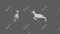 do 3d character animation in maya