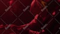 create youtube videos from stock footage
