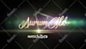 create an animated logo intro or outro video in HD for your brand