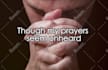 create a lyric video for your song