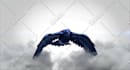 create 3d model, animation, rigging, and texturing