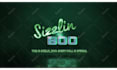 youtube intro, gaming intro or logo animation