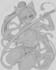 draw your anime girl original character or fanart