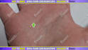 give a palm reading on video in 24h