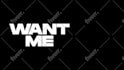 make animated lyric music video
