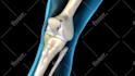 medical animation anatomy surgery biomedical animation medical oral implants vid