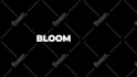create catchy 2d logo and text animation