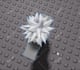 model original roblox ugc hair pbr