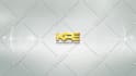create 50 logo intro video animations