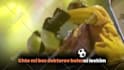 make lyrics videos with bouncing ball animation