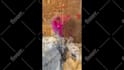 create emotional wedding, birthday or anniversary photo slideshow video