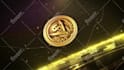 do 3d crypto coin reveal video animation and loop spinning