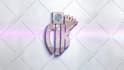 create 3d clean glossy sports logo intro animation