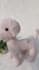 write custom amigurumi crochet patterns with step by step picture tutorials