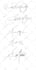 design a professional signature or autograph