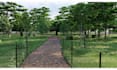 design and render 3d masterplan with landscape animation