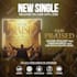 create stunning music promo video for your song