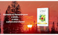 create this amazing cinematic book trailer video