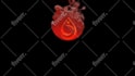 create beauty colorful liquid particles logo animation