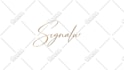 create handwritten style animated signatures for signature animation