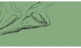 make a hand drawn bad animation , that might be good ps pricing lies