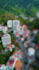 do a real estate drone video editing with motion graphics