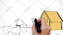 create a whiteboard explainer video, hand drawn animation