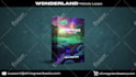 create promo video ad for your sample pack, loop kit, drum kit