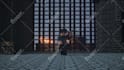 make an incredible minecraft animations just for you