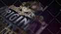 create 3d after effects animated logo intro video